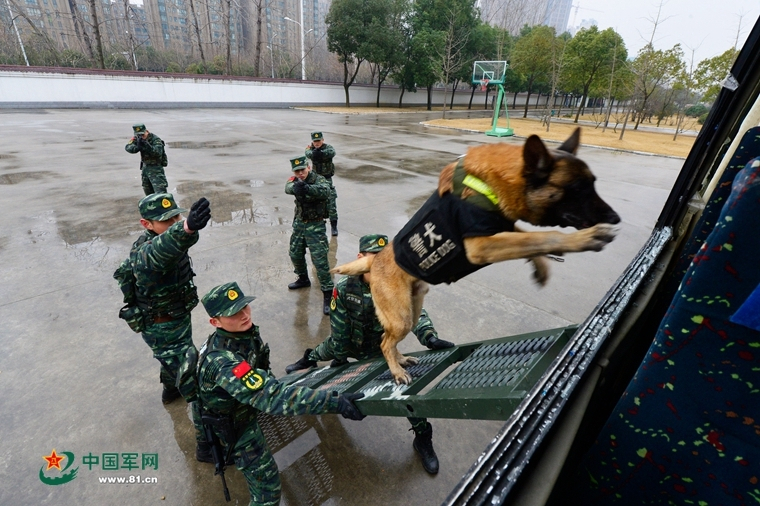 高以翔猝死1周年，好友扫墓时也晕倒？医生：熬夜压力大容易猝死 